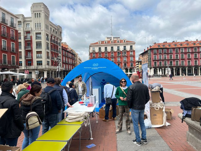Valladolid_12M (1)
